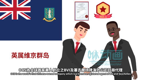 網(wǎng)絡(luò)技術(shù)服務(wù)產(chǎn)品宣傳動(dòng)畫 風(fēng)格選擇指南